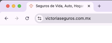 Favicon logo variation for Victoria Seguros, an insurance agent, displayed on her website browser tab, keeping her brand recognizable even at a small size.